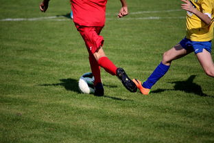 开云中国大陆-LPL多个队伍重组计划曝光转会期极度混乱，lpl战队转会期